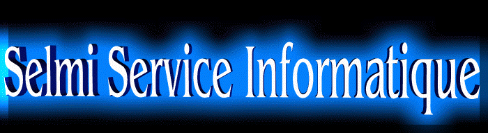selmi Service Informatique.gif (33949 bytes)