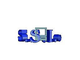 ssi2.gif (23036 bytes)